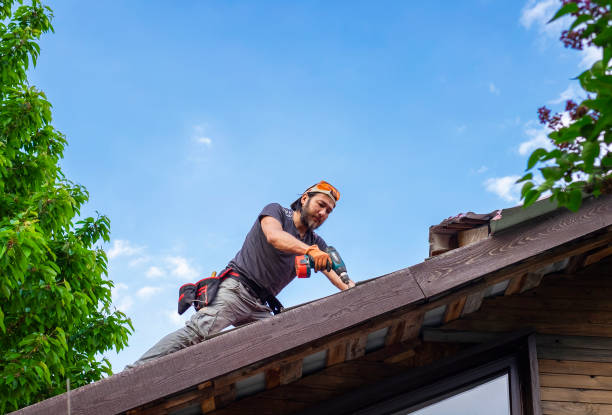 Best Roof Coating and Sealing  in Liolnton, NC